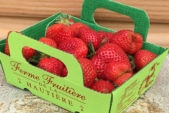 https://www.fermefruitierelahautiere.com/